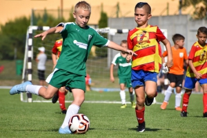 UDANY WYSTĘP 2011 NA BRODNICA CUP 2019!
